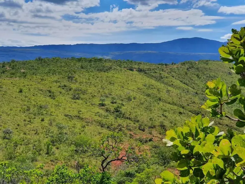 Chácara, 1 quarto, 2 hectares - Foto 7