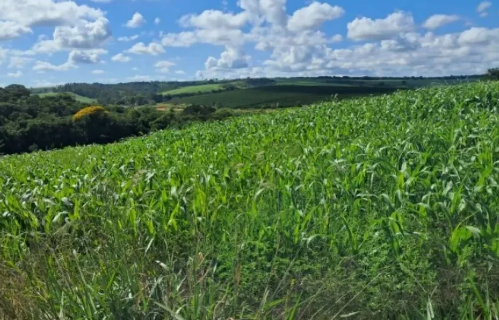 Fazenda, 1 quarto - Foto 1