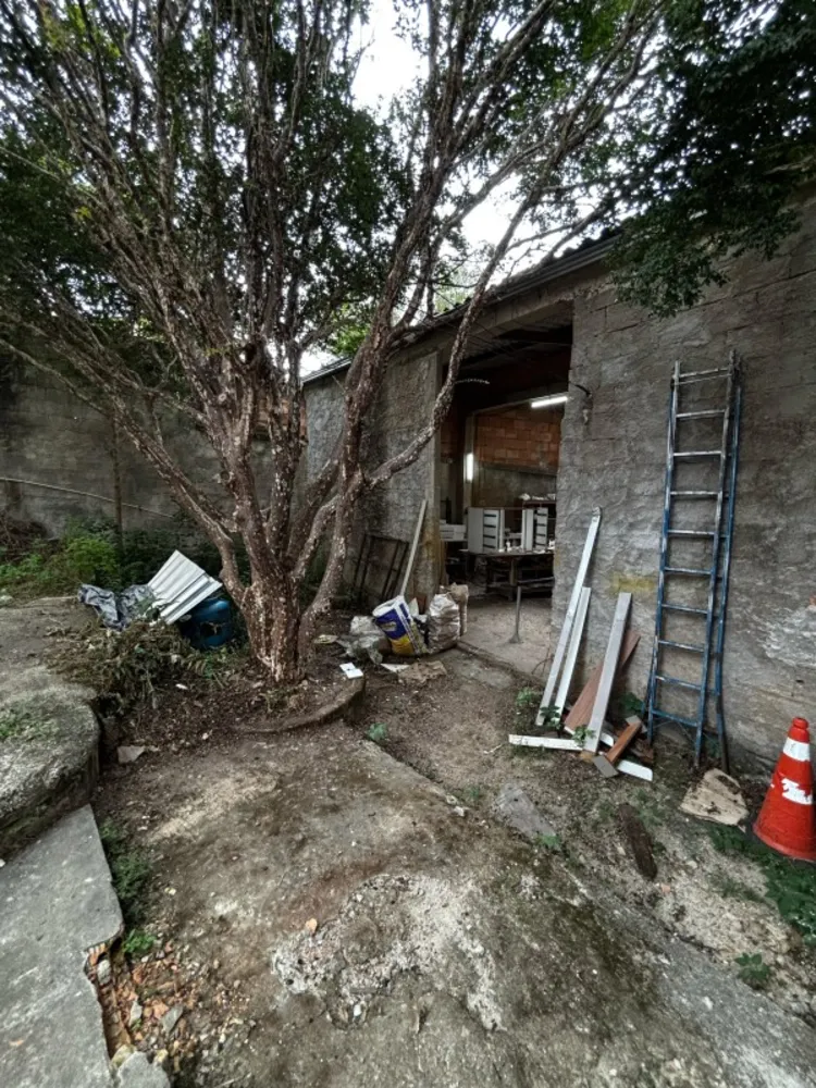 Casa, 3 quartos, 269 m² - Foto 12
