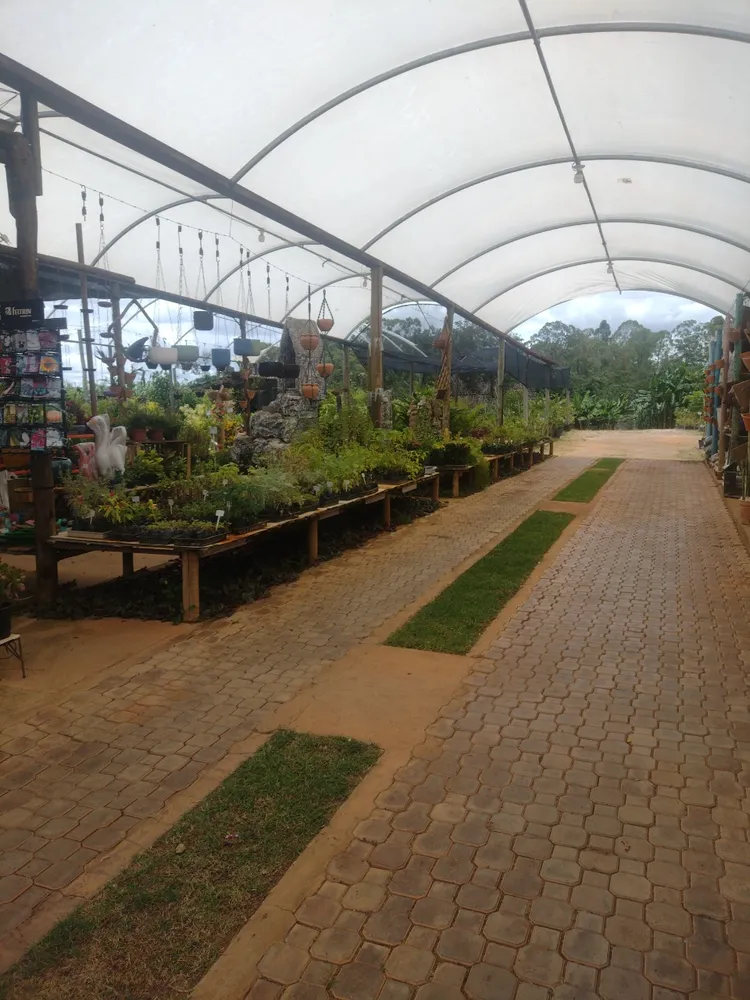 Loja-Salão, 2100 m² - Foto 4