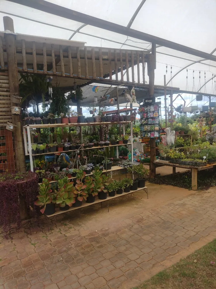 Loja-Salão, 2100 m² - Foto 6