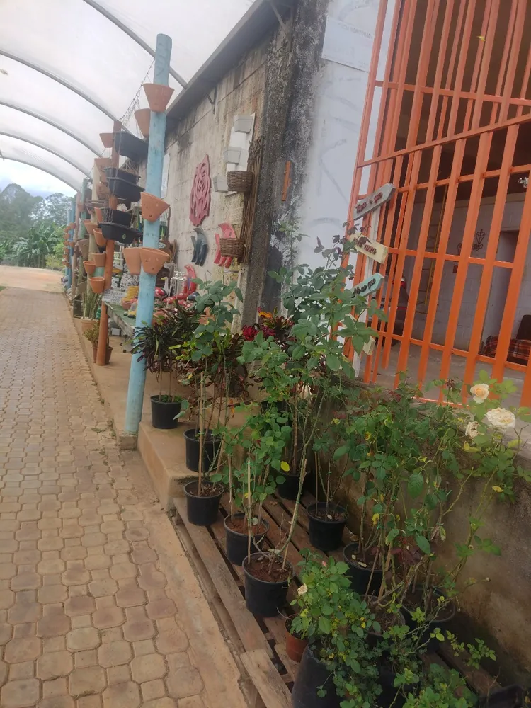 Loja-Salão, 2100 m² - Foto 3