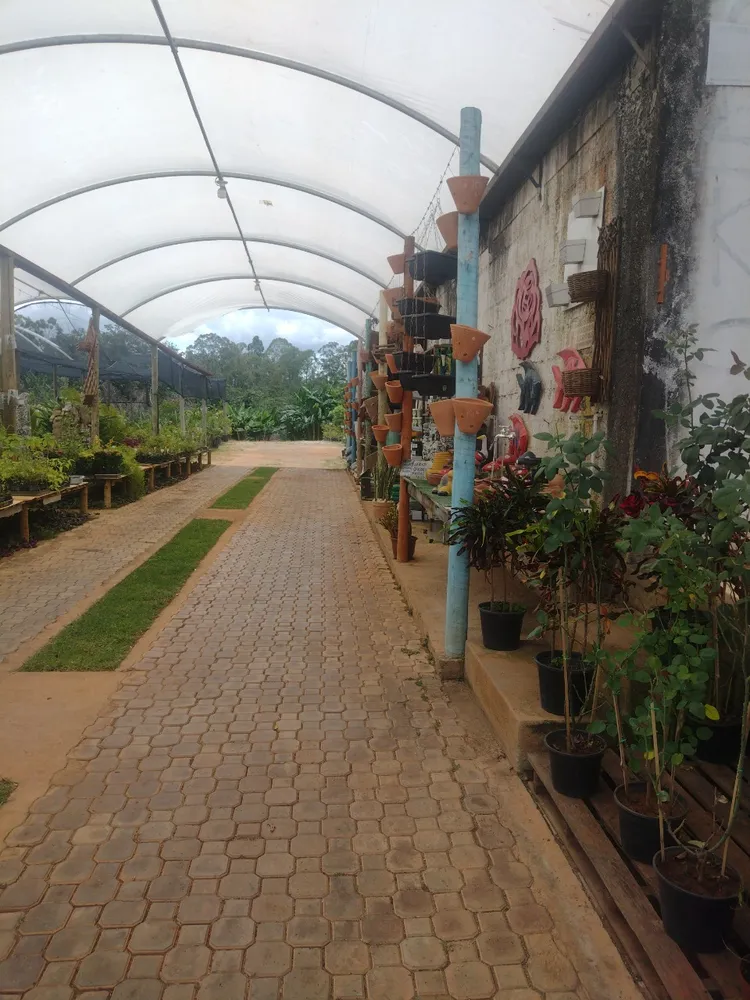 Loja-Salão, 2100 m² - Foto 2