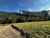 Terreno, 524 m² - Foto 2