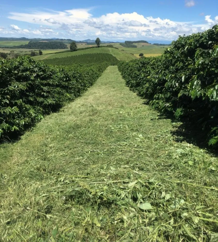 Fazenda, 120 hectares - Foto 2