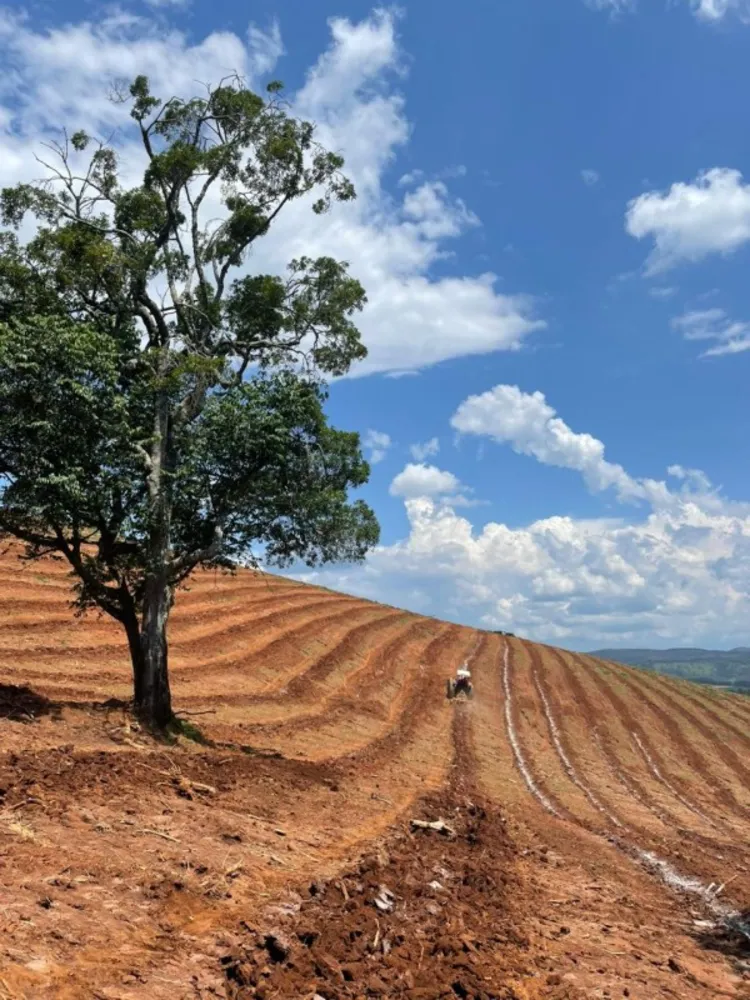 Fazenda, 120 hectares - Foto 3