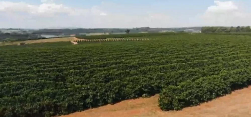 Fazenda, 120 hectares - Foto 1