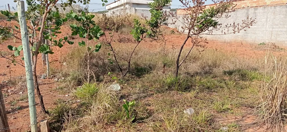 Terreno, 240 m² - Foto 6