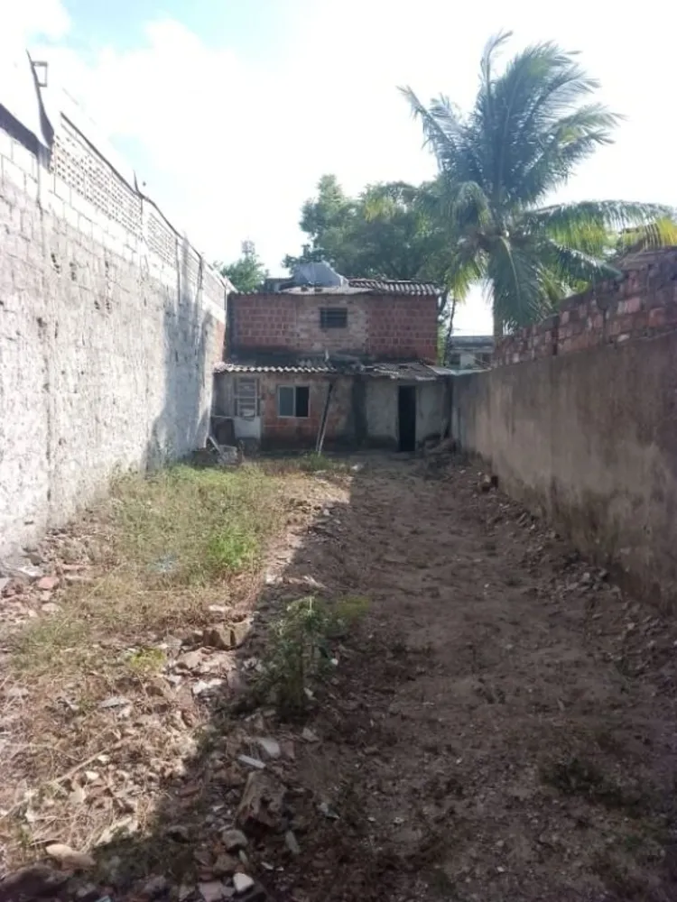 Casa, 4 quartos, 231 m² - Foto 10