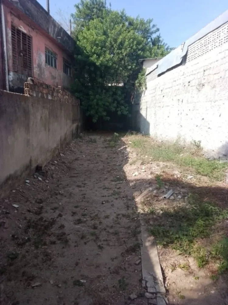 Casa, 4 quartos, 231 m² - Foto 11