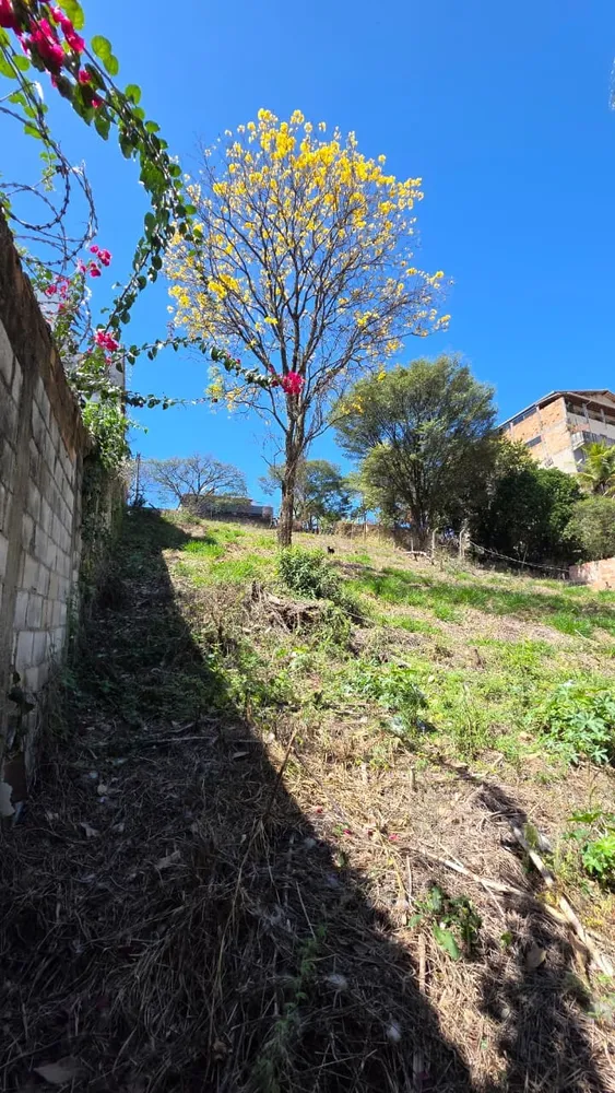Terreno, 1000 m² - Foto 3