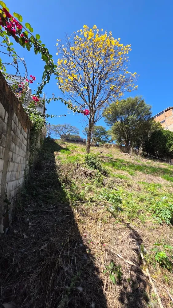 Terreno, 1000 m² - Foto 4