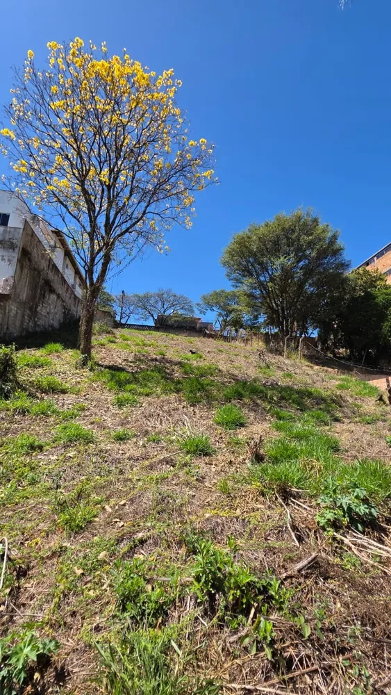 Terreno, 1000 m² - Foto 7