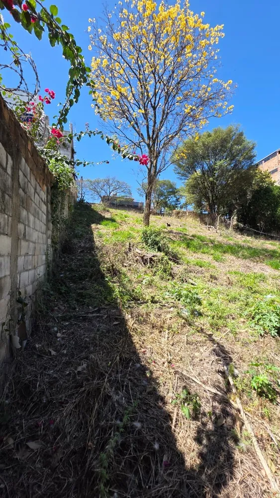 Terreno, 1000 m² - Foto 6