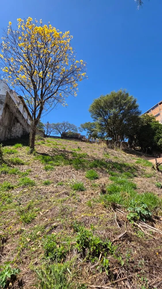 Terreno, 1000 m² - Foto 1