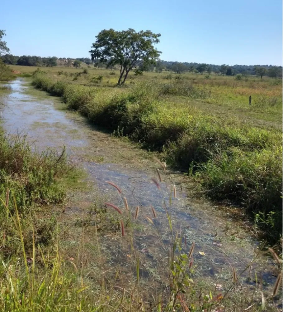 Fazenda, 3150 hectares - Foto 8