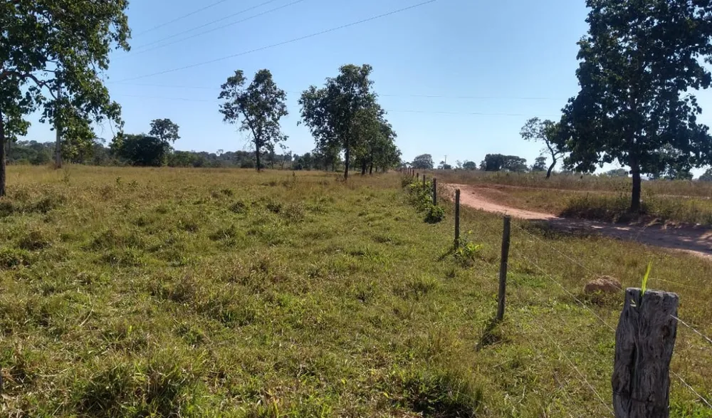 Fazenda, 3150 hectares - Foto 2