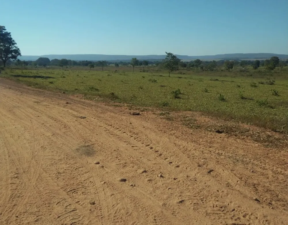 Fazenda, 3150 hectares - Foto 3