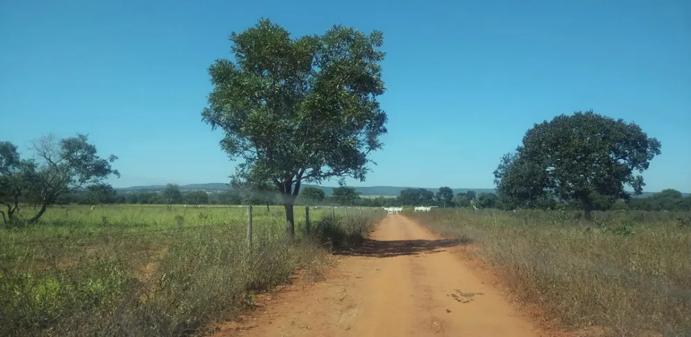 Fazenda, 3150 hectares - Foto 7