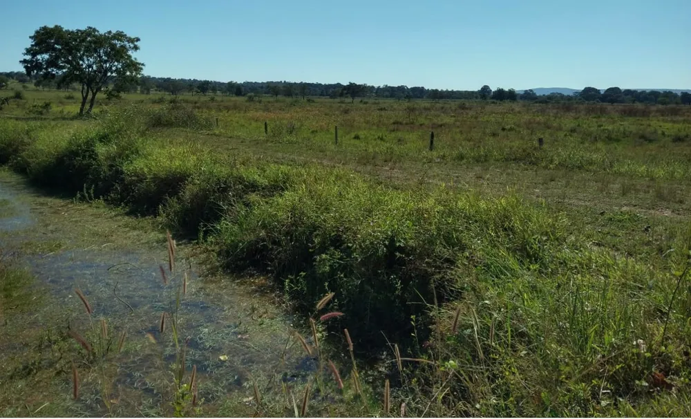 Fazenda, 3150 hectares - Foto 4