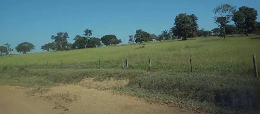 Fazenda, 3150 hectares - Foto 1