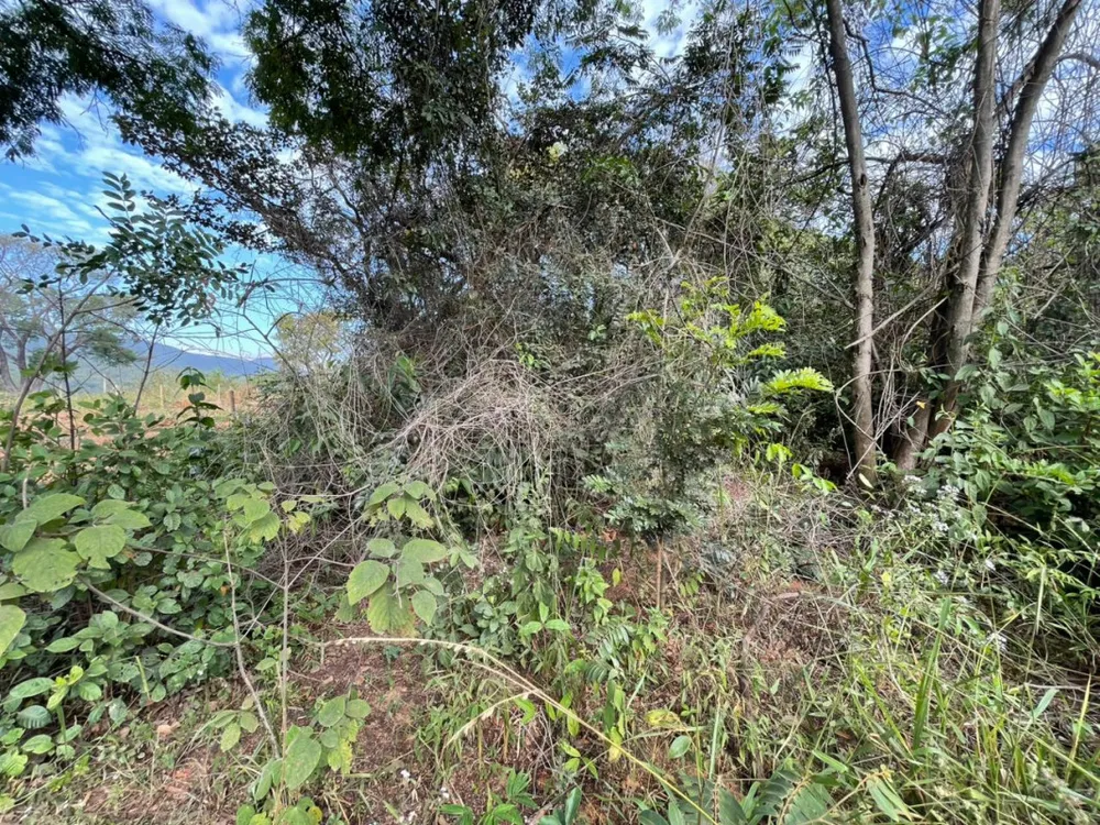 Terreno, 1000 m² - Foto 4