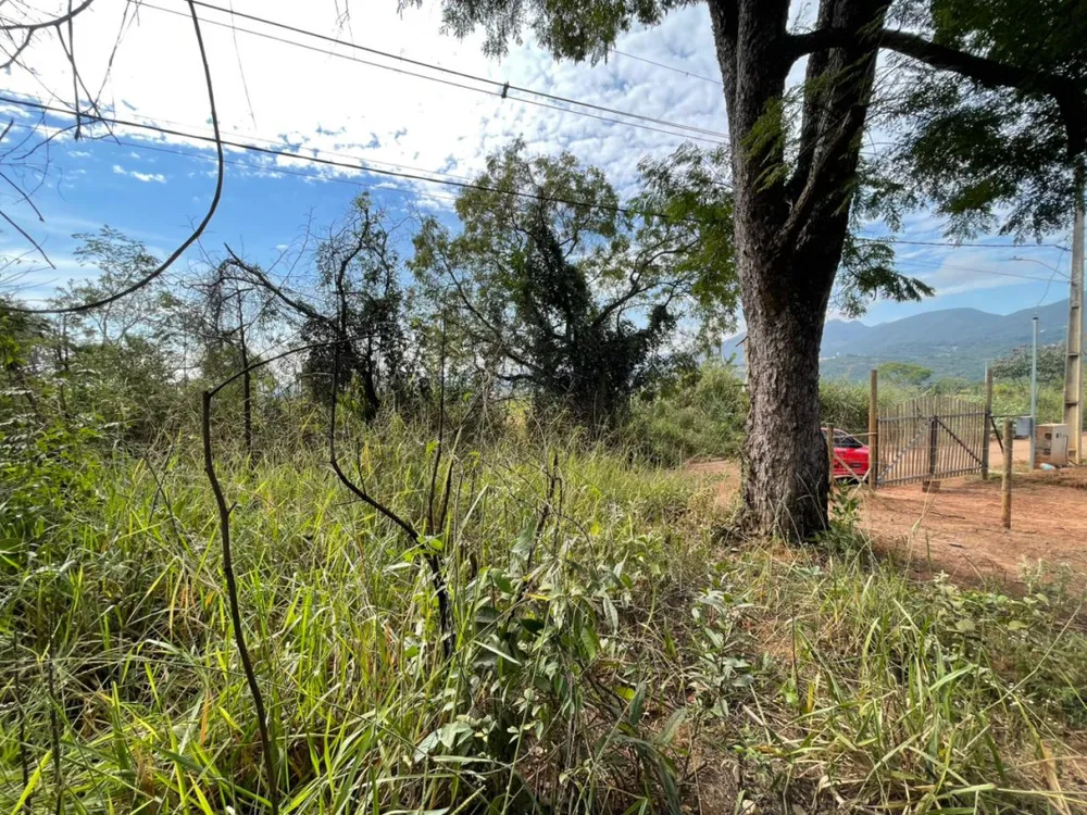 Terreno, 1000 m² - Foto 3