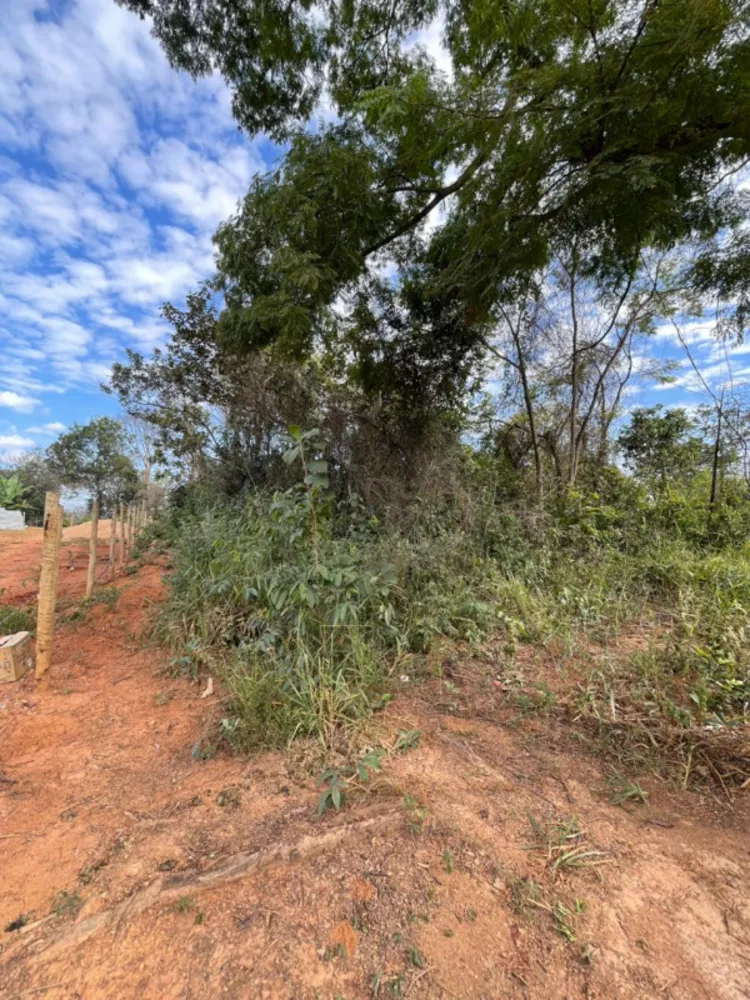 Terreno, 1000 m² - Foto 2