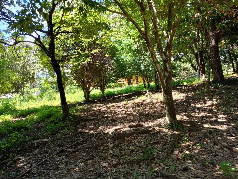 Chácara, 5 quartos - Foto 5