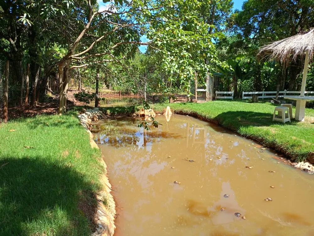 Chácara, 5 quartos - Foto 14