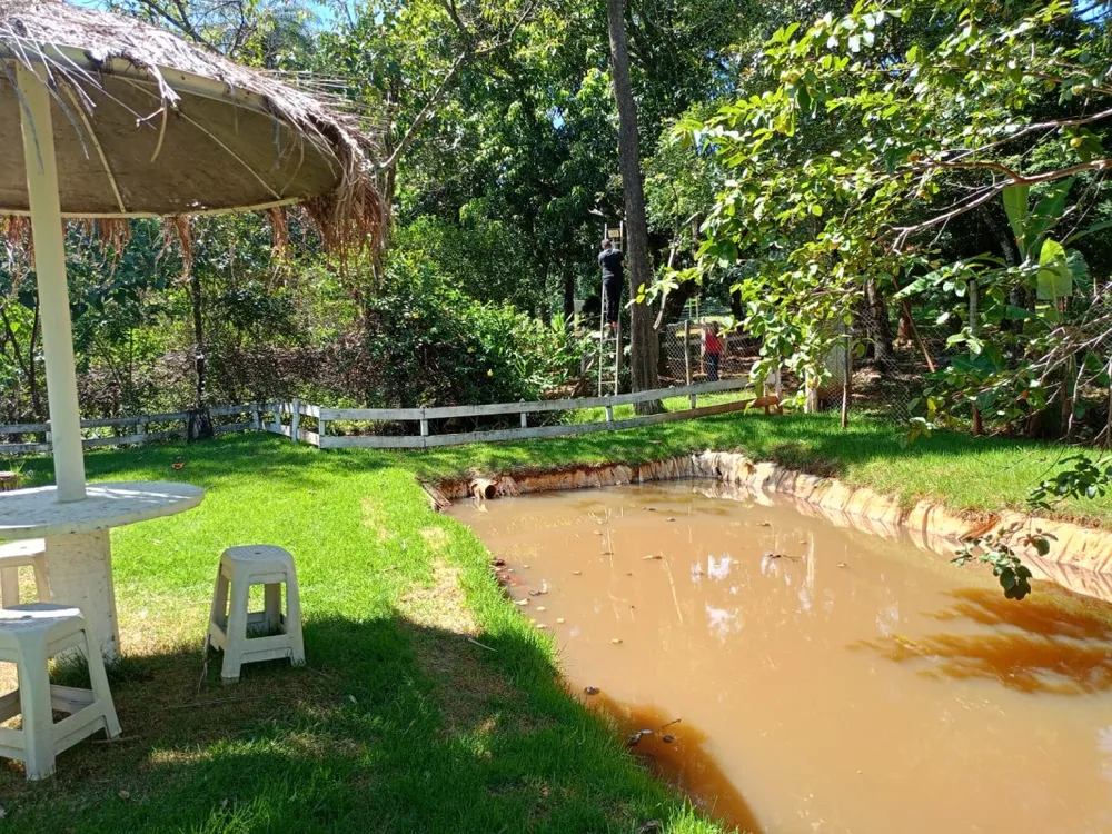 Chácara, 5 quartos - Foto 3