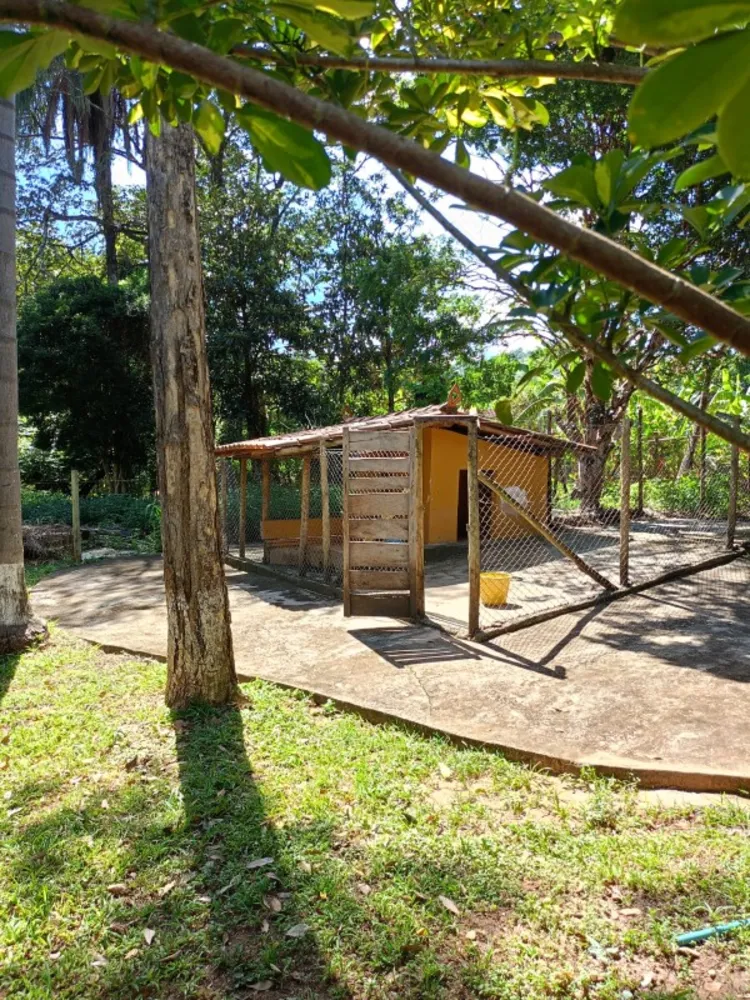 Sítio, 5 quartos, 30000 m² - Foto 26