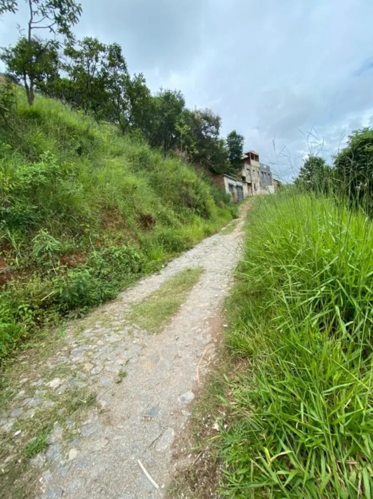 Terreno, 250 m² - Foto 8