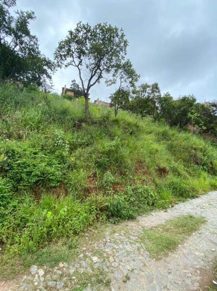 Terreno, 250 m² - Foto 1