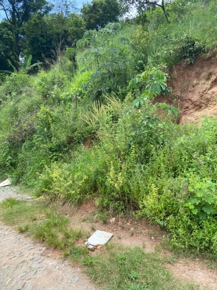 Terreno, 250 m² - Foto 6