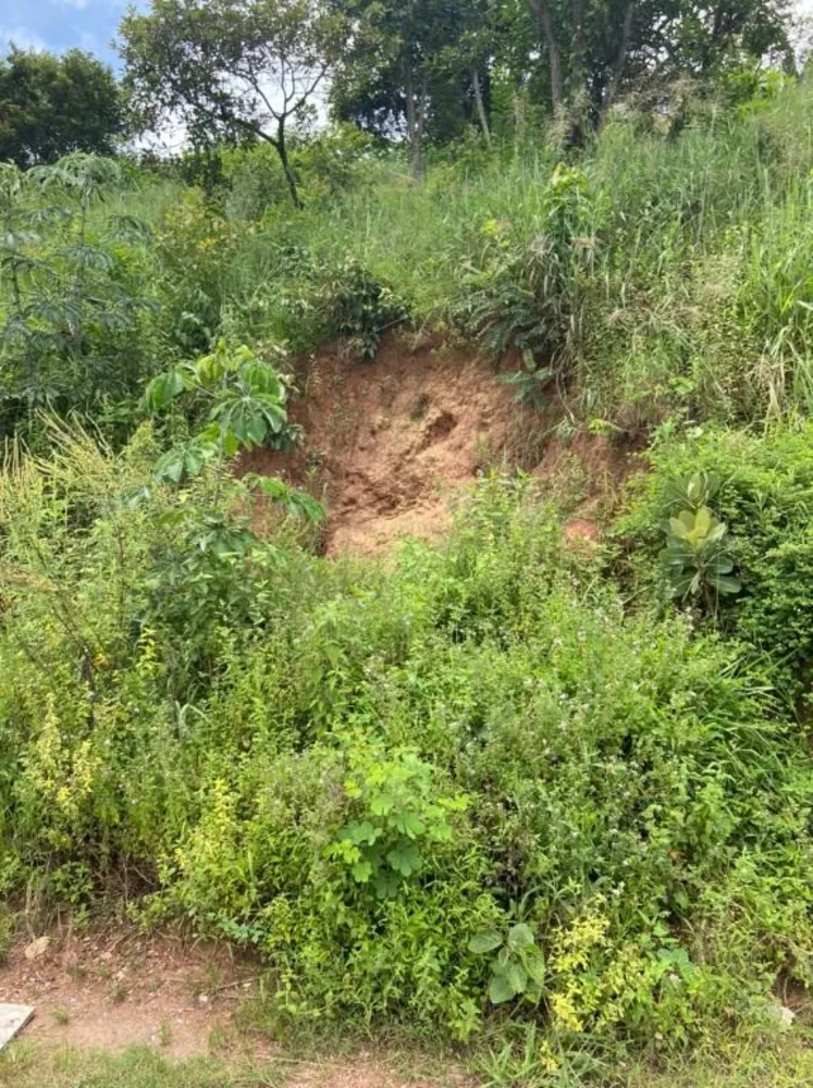 Terreno, 250 m² - Foto 7