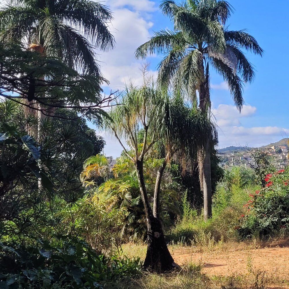Terreno à venda, 5270m² - Foto 9