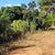 Terreno, 5270 m² - Foto 6