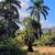 Terreno, 5270 m² - Foto 9