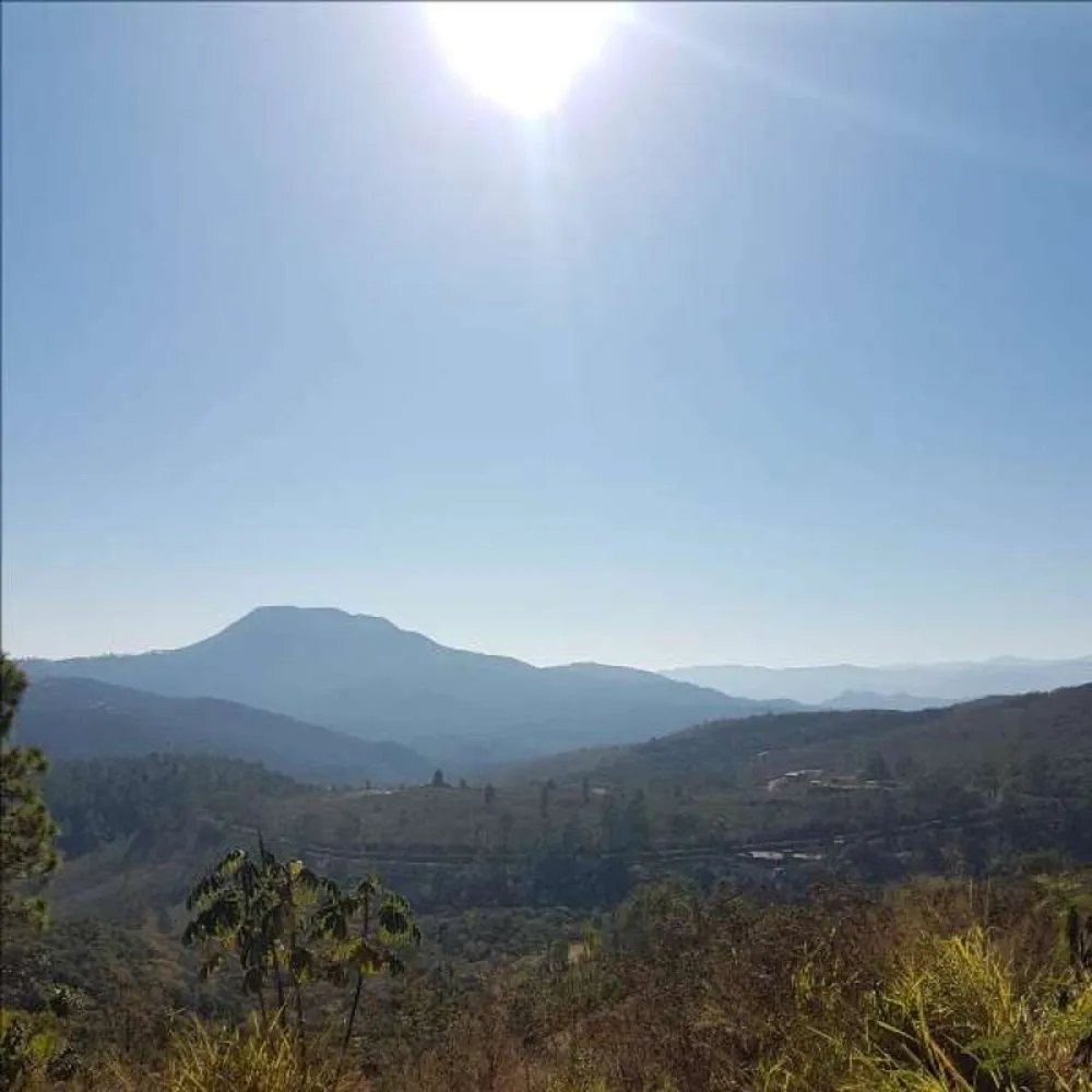 Terreno, 2800 m² - Foto 3