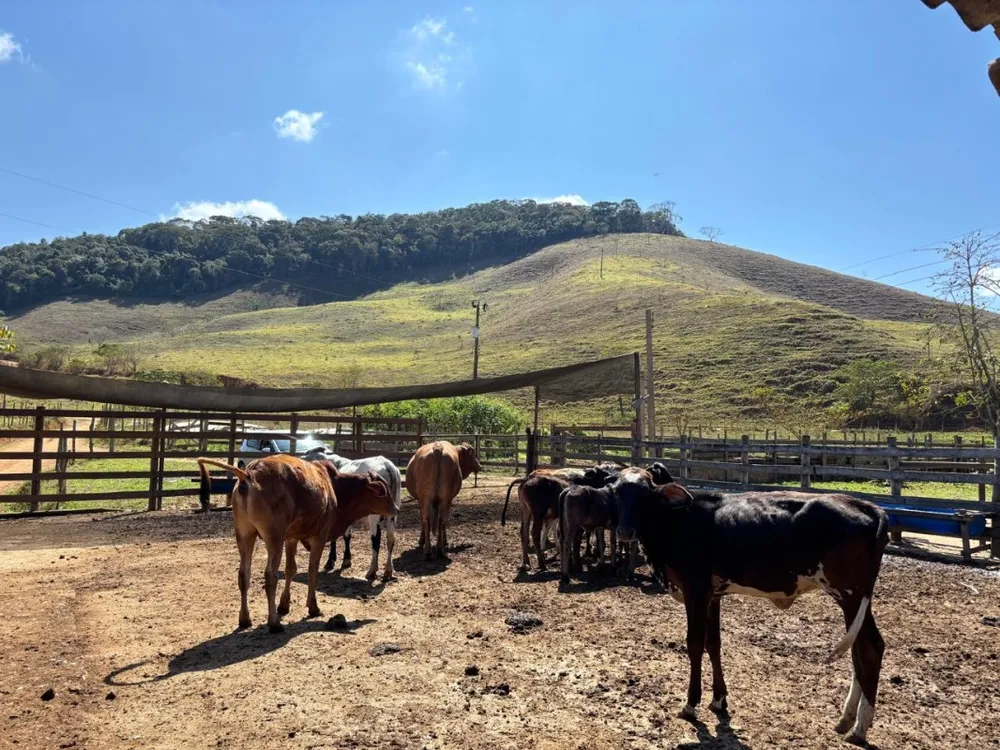 Fazenda, 1 quarto - Foto 3
