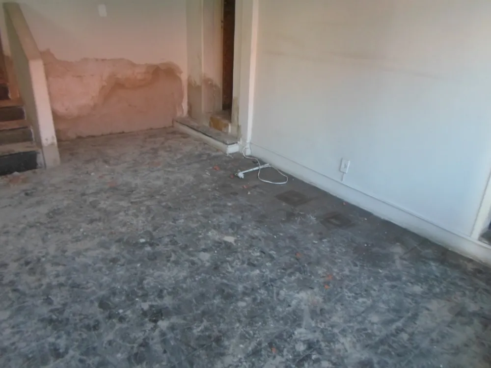 Casa, 4 quartos, 492 m² - Foto 7