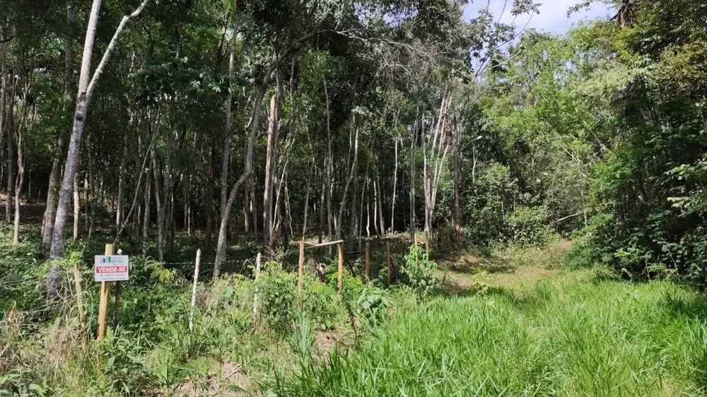 Terreno, 4000 m² - Foto 6