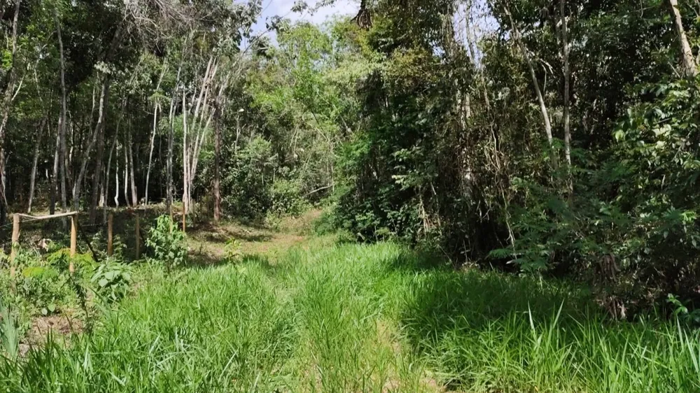 Terreno, 4000 m² - Foto 8