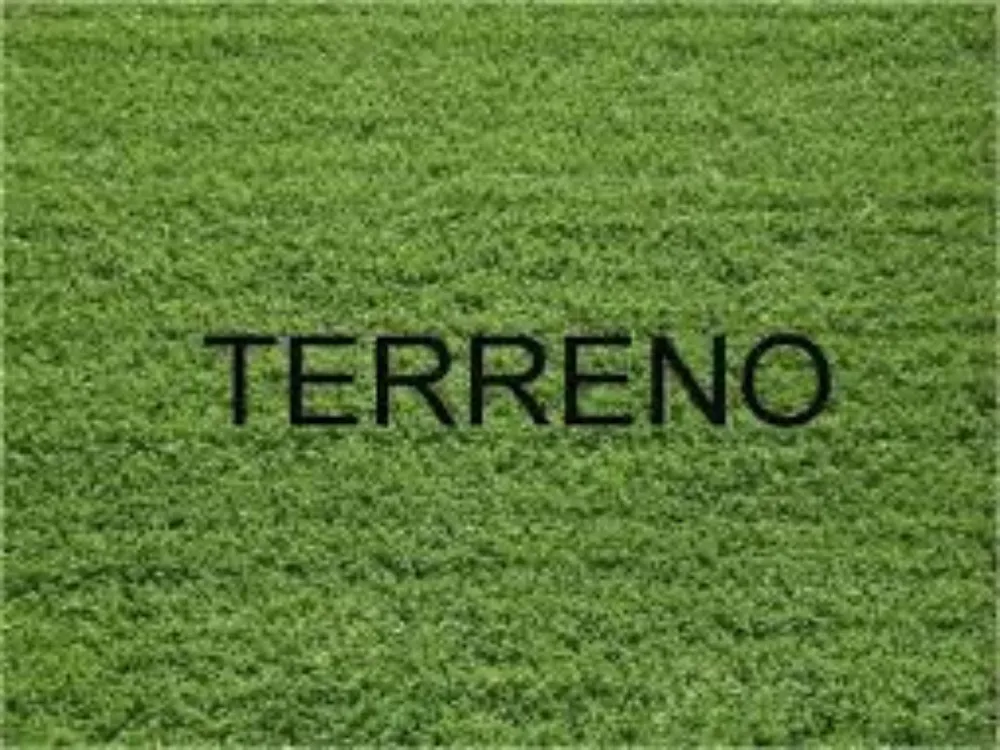 Terreno, 303 m² - Foto 2