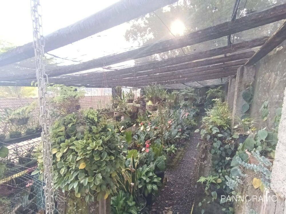 Casa à venda com 4 quartos, 210m² - Foto 4