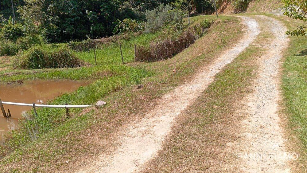 Chácara, 2 quartos, 1 hectares - Foto 4