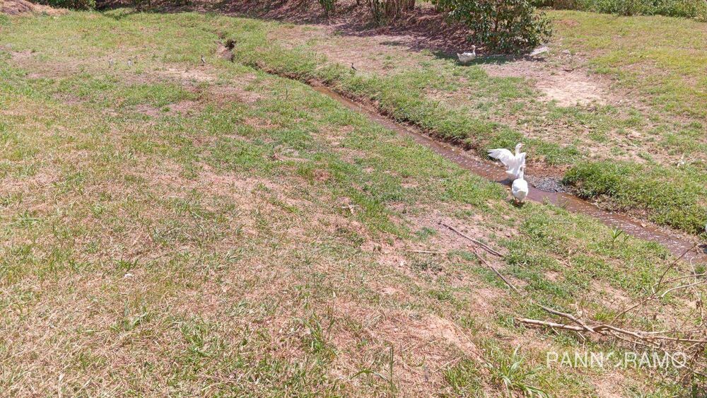 Chácara, 2 quartos, 1 hectares - Foto 7