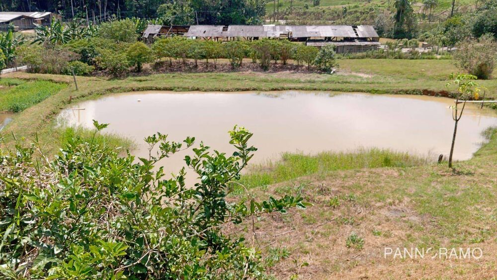 Chácara, 2 quartos, 1 hectares - Foto 2