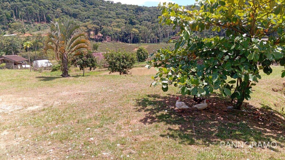 Chácara, 2 quartos, 1 hectares - Foto 8